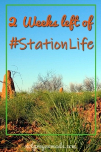 2 weeks to go for working on an Australian outback cattle station