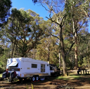 Camp setup at Levens Canyon Reserve